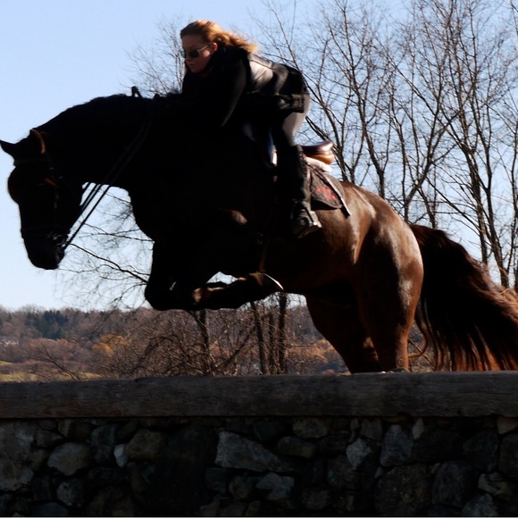 Meet your Posher, Lisa - Picture 3 of 16